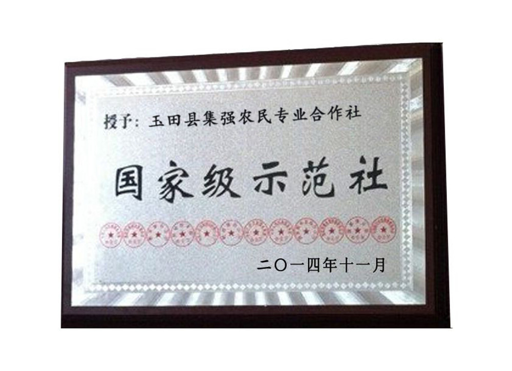 荣誉证书